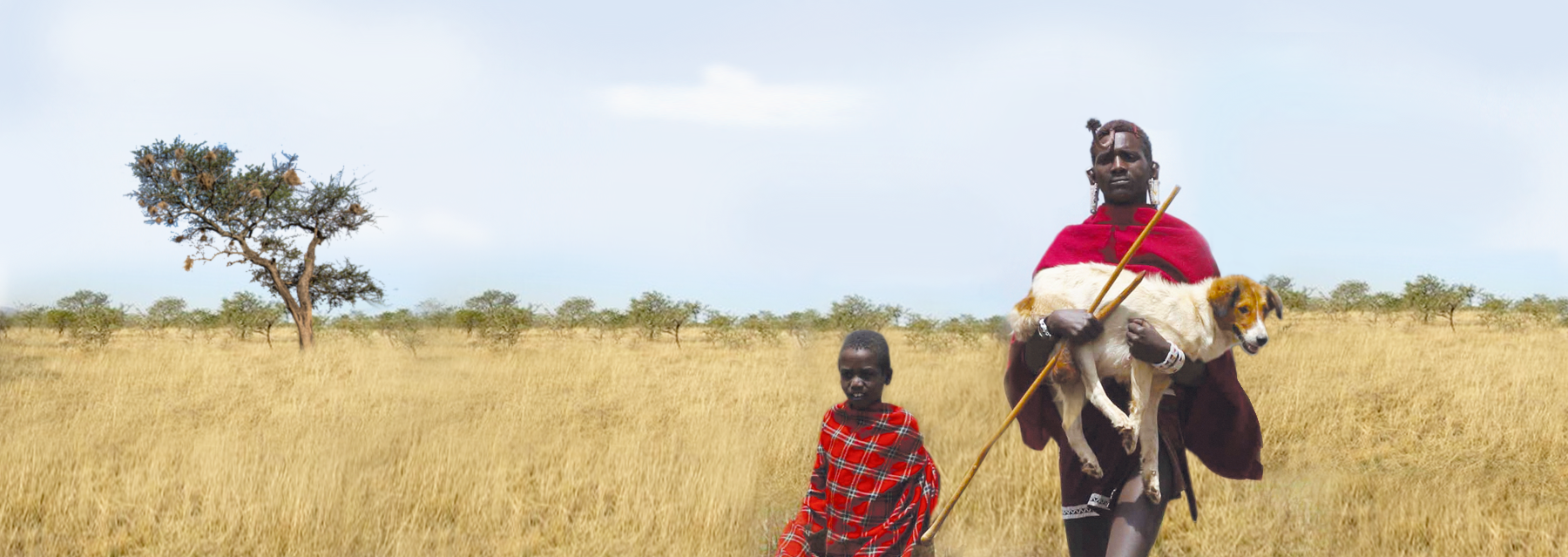 A man and boy walk across the Serengeti grassland with a dog.