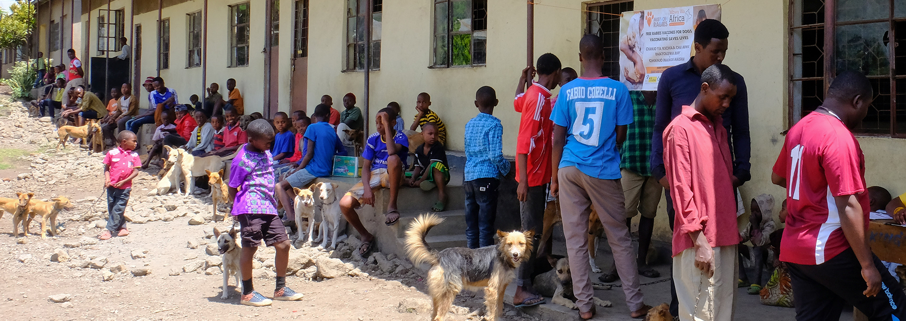 Villagers wait in line to get their dogs vaccinated against rabies.