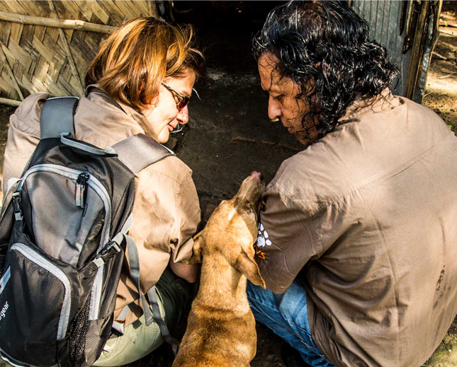 Volunteers interact with a dog.