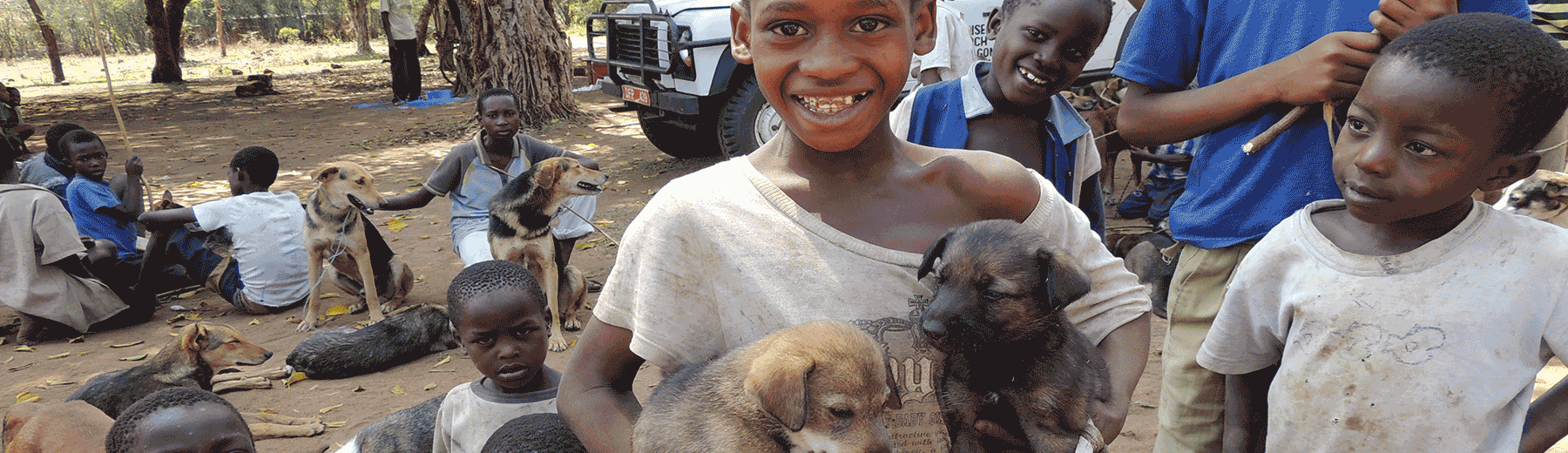 A young boy smiles while he holds two dogs, and another boy looks on.