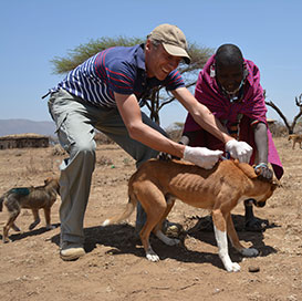 Rabies vaccination